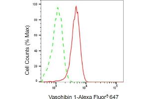 Flow cytometric analysis of Vasohibin 1 expression in HepG2 cells using Vasohibin 1 antibody (ABIN7800826), 1:2,000).