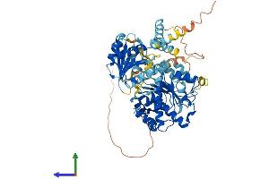 Protein Structure (PS) image for DEAD (Asp-Glu-Ala-Asp) Box Polypeptide 41 (DDX41) (AA 1-622) protein (His tag) (ABIN7559997)