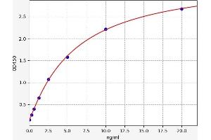 CDK4 ELISA Kit