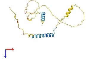 AlphaFold protein structure predicition of Human Recombinant LNP1 Protein, UniprotID A1A4G5 (LNP1 Protein (AA 1-178) (His tag))