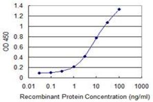 Detection limit for recombinant GST tagged ETV4 is 0. (ETV4 antibody  (AA 1-207))