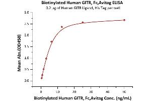 ELISA image for Tumor Necrosis Factor Receptor Superfamily, Member 18 (TNFRSF18) (AA 26-161) protein (Fc Tag,AVI tag,Biotin) (ABIN6731276)