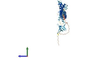 AlphaFold protein structure predicition of Mouse Recombinant Nostrin Protein, UniprotID Q6WKZ7