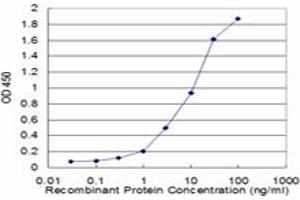 Detection limit for recombinant GST tagged HLA-DMB is approximately 0. (HLA-DMB antibody  (AA 22-129))