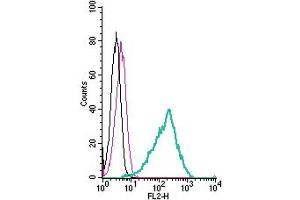 Cell surface detection of GPR84 by direct flow cytometry in live intact mouse  microglia cells: + Rabbit IgG isotype control-PE. (GPR84 antibody  (Extracellular) (PE))