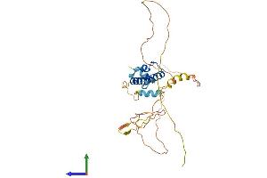 AlphaFold protein structure predicition of Mouse Recombinant Dnajb7 Protein, UniprotID Q9QYI8