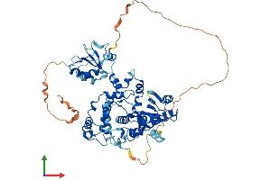 AlphaFold protein structure predicition of Mouse Recombinant Poll Protein, UniprotID Q9QXE2