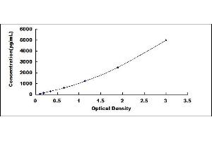 Typical standard curve (SHMT1 ELISA Kit)