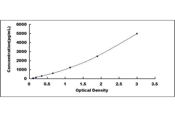 SHMT1 ELISA Kit