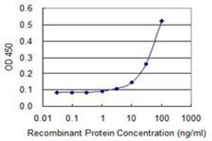 Detection limit for recombinant GST tagged GK2 is 3 ng/ml as a capture antibody. (GK2 antibody  (AA 1-553))