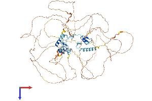 AlphaFold protein structure predicition of Mouse Recombinant Atxn7 Protein, UniprotID Q8R4I1 (ATXN7 Protein (AA 1-867) (His tag))