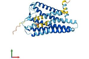 AlphaFold protein structure predicition of Human Recombinant OR7A17 Protein, UniprotID O14581