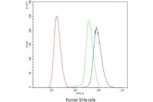 Flow Cytometry (FACS) image for anti-Calbindin (CALB1) (AA 2-175) antibody (ABIN3030248)