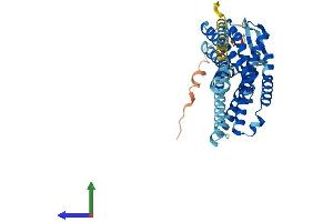 AlphaFold protein structure predicition of Human Recombinant OPRL1 Protein, UniprotID P41146 (OPRL1 Protein (AA 1-370) (His tag))