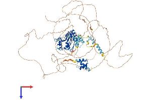 AlphaFold protein structure predicition of Human Recombinant ZC3H12C Protein, UniprotID Q9C0D7 (ZC3H12C Protein (AA 1-883) (His tag))