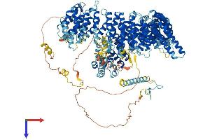 AlphaFold protein structure predicition of Mouse Recombinant Rrp12 Protein, UniprotID Q6P5B0