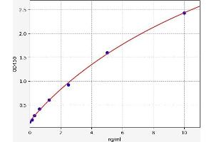 Typical standard curve (TNFRSF10A ELISA Kit)