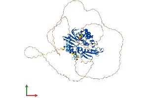 AlphaFold protein structure predicition of Human Recombinant DCLRE1C Protein, UniprotID Q96SD1 (DCLRE1C Protein (AA 1-692) (His tag))