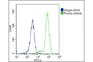 Overlay histogram showing K562 cells stained with (ABIN653968 and ABIN2843918)(green line). (POTEE antibody  (AA 380-409))