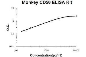 Monkey Primate CD56/NCAM-1 PicoKine ELISA Kit standard curve