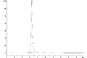 The purity of Biotinylated Human IL-5 R alpha/CD125 is greater than 95 % as determined by SEC-HPLC. (IL5RA Protein (AA 21-335) (His-Avi Tag,Biotin))