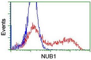 Image no. 6 for anti-Negative Regulator of Ubiquitin-Like Proteins 1 (NUB1) (AA 1-326) antibody (ABIN1490743) (NUB1 antibody  (AA 1-326))