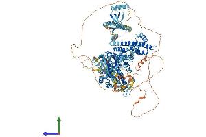 AlphaFold protein structure predicition of Mouse Recombinant Rasgrf1 Protein, UniprotID P27671 (RASGRF1 Protein (AA 1-1262) (His tag))