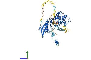 AlphaFold protein structure predicition of Human Recombinant MAPKAPK2 Protein, UniprotID P49137