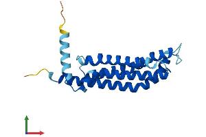 Protein Structure (PS) image for Transmembrane Protein 126A (TMEM126A) (AA 1-196) protein (His tag) (ABIN7561143)