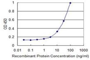 Detection limit for recombinant GST tagged TRIB2 is 1 ng/ml as a capture antibody. (TRIB2 antibody  (AA 1-343))