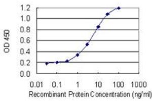 Detection limit for recombinant GST tagged ITPK1 is 0. (ITPK1 antibody  (AA 1-314))