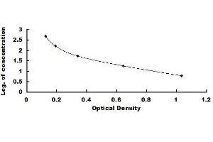 Typical standard curve
