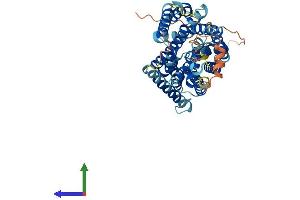 AlphaFold protein structure predicition of Mouse Recombinant Slc38a3 Protein, UniprotID Q9DCP2 (SLC38A3 Protein (AA 1-505) (His tag))