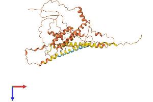 AlphaFold protein structure predicition of Human Recombinant APOL5 Protein, UniprotID Q9BWW9 (Apolipoprotein L 5 Protein (AA 1-433) (His tag))