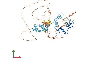 AlphaFold protein structure predicition of Human Recombinant ZNF500 Protein, UniprotID O60304