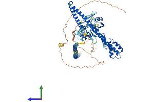 Protein Structure (PS) image for Ecto-NOX Disulfide-Thiol Exchanger 1 (ENOX1) (AA 1-643) protein (His tag) (ABIN7553842)