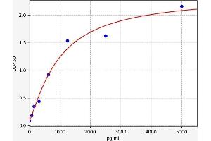 AKT3 ELISA Kit