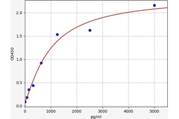 AKT3 ELISA Kit