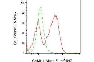 Flow cytometric analysis of CAMK1 expression in HeLa cells using CAMK1 antibody ( (ABIN7797831), 1:2,000).