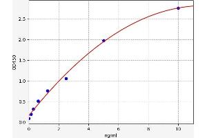 Typical standard curve (CAMK2A ELISA Kit)