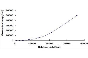 ELISA image for Intercellular Adhesion Molecule 1 (ICAM1) CLIA Kit (ABIN492063)