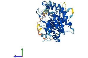 AlphaFold protein structure predicition of Human Recombinant B3GNT8 Protein, UniprotID Q7Z7M8 (B3GNT8 Protein (AA 1-397) (His tag))