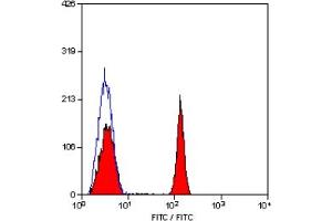 Staining of human peripheral blood lymphocytes with MOUSE ANTI HUMAN CD4:FITC (CD4 antibody  (FITC))