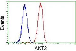 Flow cytometric analysis of Hela cells, using anti-AKT2 antibody (ABIN2452737), (Red) compared to a nonspecific negative control antibody (TA50011) (Blue). (AKT2 antibody)
