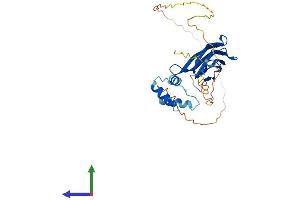 Protein Structure (PS) image for Nucleophosmin (Nucleolar phosphoprotein B23, Numatrin) (NPM1) (AA 1-294) protein (His tag) (ABIN7554795)