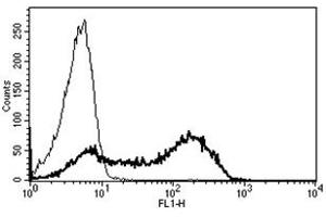 Flow Cytometry (FACS) image for anti-Protein tyrosine Phosphatase, Receptor Type, C (PTPRC) antibody (ABIN1106403) (CD45 antibody)