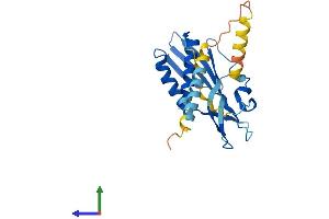 Protein Structure (PS) image for Receptor (Chemosensory) Transporter Protein 2 (RTP2) (AA 1-225) protein (His tag) (ABIN7545868)