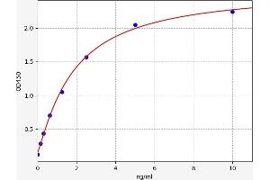 Pleckstrin ELISA Kit