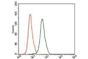 Flow cytometric analysis of HeLa cells using MAPK8 mouse mAb (green) and negative control (red). (JNK antibody)