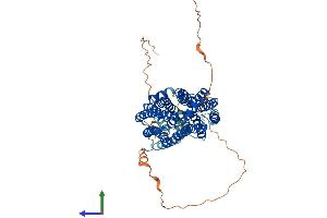 AlphaFold protein structure predicition of Human Recombinant FLVCR1 Protein, UniprotID Q9Y5Y0 (FLVCR Protein (AA 1-555) (His tag))
